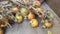 Betal nut fruits isolated on wood backgroud.