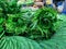 Betel leaves kept for sale in a local market in Bangalore