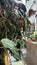 Betel leaves wet in the rain in the front yard of the house