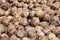 Betel nuts drying