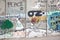 Bethlehem - The Detail of graffitti on the Separation barrier. The symbolic ladder of peace bound to the heaven