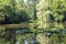 Betliar Lake of tranquility with water lilies