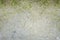 Beton with grass concrete wall or floor, abstract background photo texture