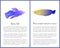 Betta Fish and Blue Striped Tamarin Wrasse Icons