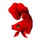 Betta fish pure red color vector image.