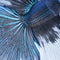 Betta tail fish abstract