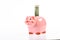 Better way to bank. Piggy bank adorable pink pig close up. Accounting personal accountant and family budget. Piggy bank