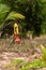 Betul,Goa/India- May 16 2020: Local Indian native/farmer watering a coconut sapling plantation. Young Indian farmer carrying water