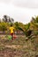 Betul,Goa/India- May 16 2020: Local Indian native/farmer watering a coconut sapling plantation. Young Indian farmer carrying water