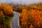 Betula platyphylla forest in Xinjiang