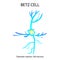 Betz cell. Neuron. Nerve cell. Infographics. Vector illustration on isolated background.