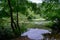 Beuatiful landscape of trees, lush foliage and their reflection  in the waters of Waterloo Lake in Roundhay Park, Leeds, UK