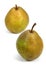 BEURRE HARDY PEAR pyrus communis AGAINST WHITE BACKGROUND