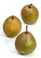 BEURRE HARDY PEAR pyrus communis AGAINST WHITE BACKGROUND