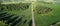 Beutiful evening panorama with road, grove and green fields, aerial