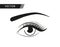 Beutiful eye vector illustration. Eyeliner makeup. Woman`s eye isolated icon