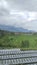 beutiful green and green ricefield and mountains in garut city