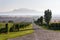 Beutiful green vineyard with Devin and Palava mountains in background on banks of Nove Mlyny, Moravia, Czechia