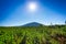 Beutiful landscape of the Karkonosze Mountains and Sniezka peak, Poland