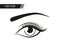 Beutiful woman eye vector. Winged eyeliner makeup