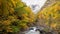 Beutiful yellow forest in autumn Valley and Mount Perdido in cloudy sky, Ordesa National park