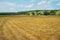 Beveled pastures in a hilly valley. Summer meadows under the blue sky. Rare trees in farmer farmlands