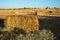 Beveled wheat field at sunset