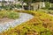 Beverly Gardens Park Nicely trimmed bushes, flowers and stones in front of the house, front yard. Landscape design