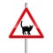 Beware Of Cat Caution Street Sign