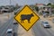 Beware cow herd across the road sign