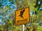 Beware of Nesting Magpie Bird Sign, Australia