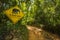 Beware of wild elephants sign in a rainforest in KhaoSok National Park