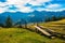 Bewitching beautiful summer landscape of green meadows