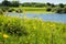 Bewl water reservoir, Lamberhurst, Kent, England