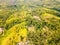 BG with Rice Fields and Palm Groves. Aerial View