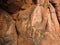 Bhimbetka rock shelter with petroglyphs of domesticated ? animals on cave wall, Madhya Pradesh, India