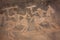 Bhimbetka Rock Shelters