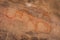 Bhimbetka Rock Shelters