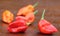 Bhut Jolokia chili peppers