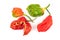 Bhut Jolokia or Ghost Pepper, Chilli fruits isolated on white background