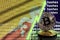 Bhutan flag and rising green arrow on bitcoin mining screen and two physical golden bitcoins