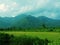 Bhutan hills view and fields.