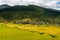 Bhutan Rice Fields, Paro Valley Sep 2015