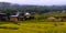 Bhutan Rice Fields, Paro Valley Sep 2015