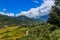 Bhutanese village and terraced field at Punakha, Bhutan