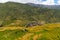 Bhutanese village and terraced field at Punakha, Bhutan