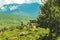 Bhutanese village and terraced field at Punakha, Bhutan