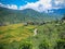 Bhutanese village and terraced field at Punakha, Bhutan