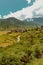 Bhutanese village and terraced field at Punakha, Bhutan