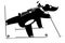 Biathlon competitor bear black on white illustration